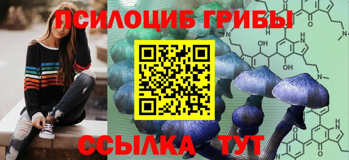 Галлюциногенные грибы MAGIC MUSHROOMS Кинель