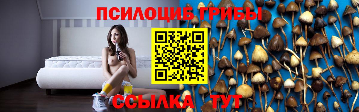 где продают   Галлюциногенные грибы мухоморы  Вход с VPN  Кинель 